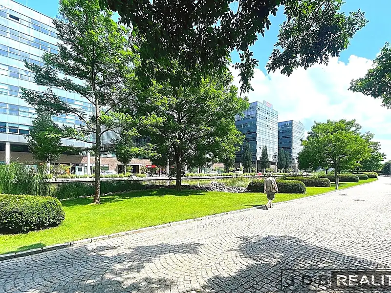 Pronájem komerčního prostoru, 50 m², Brno-město, Brno